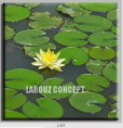 /album/photo-gallery-canvas-uri/decoratiuni-de-perete-canvas-lc-1207-jpg/